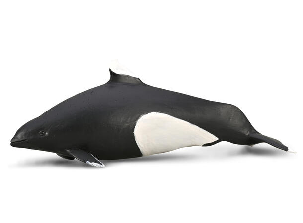 NISE - M COLLECTA 