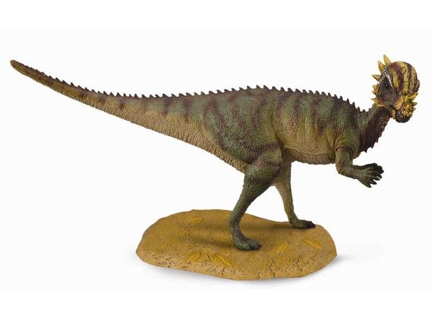 PACHYCEPHALOSAURUS M COLLECTA 