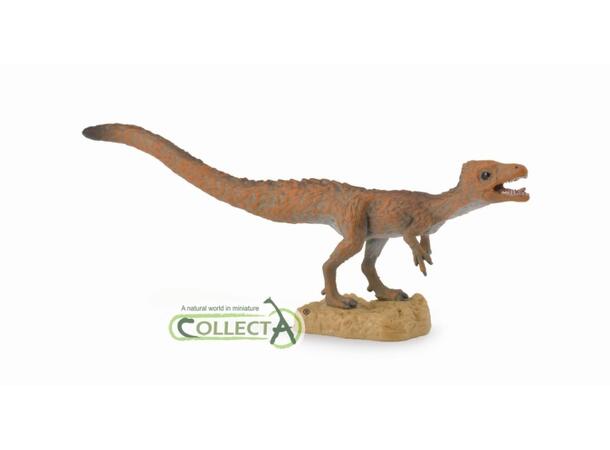 SCIURUMIMUS M 88811 COLLECTA 