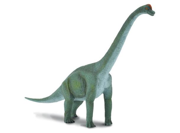 BRACHIOSAURUS L 88121 COLLECTA 