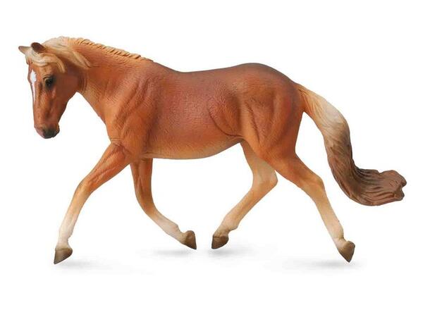 HALFINGER HOPPE XL 88519** COLLECTA 