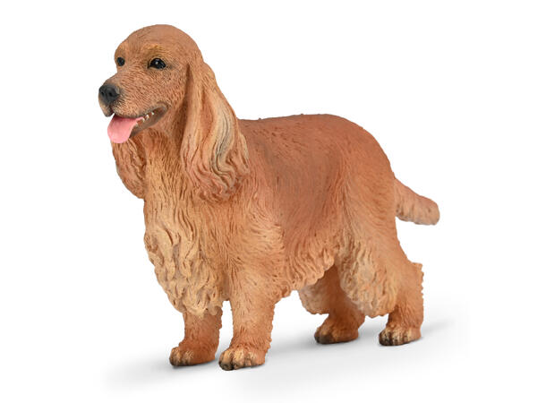 ENGELSK COCKER SPANIEL - M COLLECTA 