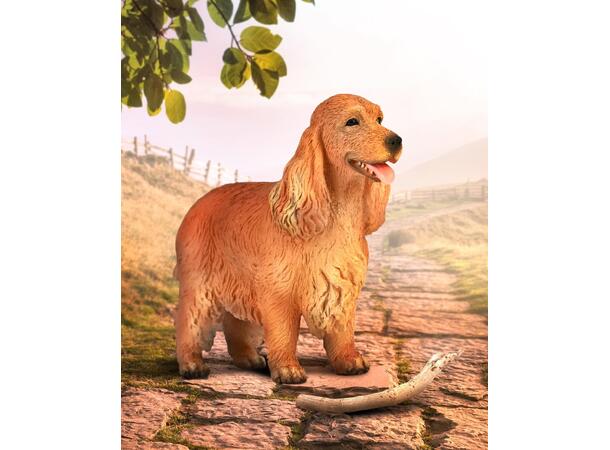 ENGELSK COCKER SPANIEL - M COLLECTA 