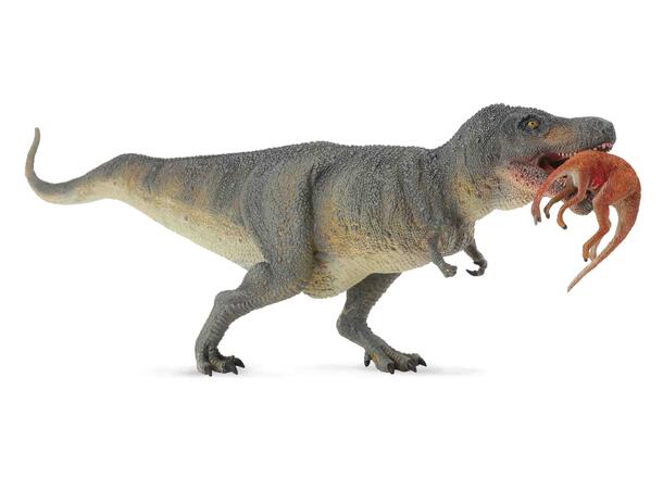 TYRANNOSAURUS REX M/DYR I MUNN XL 88573 COLLECTA 