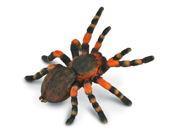 TARANTULA EDDERKOPP L 88338 COLLECTA 