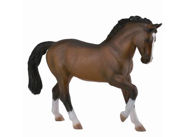 WARMBLOOD STALLION 